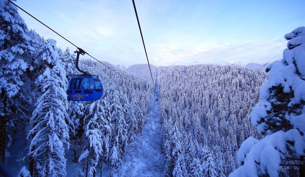 Green Life Bansko, 1 Bedroom Private Apartment D4 Exterior foto